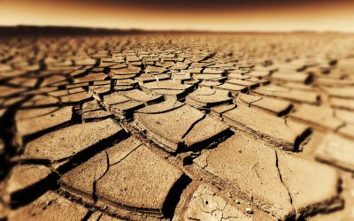 Seceta accentuată poate duce la răspândirea bacteriilor rezistente la antibiotice Seceta prelungită din ultimele luni duce la efecte neprevăzute asupra mediului și sănătății publice