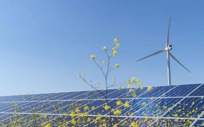 Prețurile energiei din Polonia au devenit negative pentru anumite segmente de consumatori Prețurile energiei electrice din Polonia au coborât sub zero pentru o parte dintre clienții care își decontează consumul prin instalații regenerabile casnice