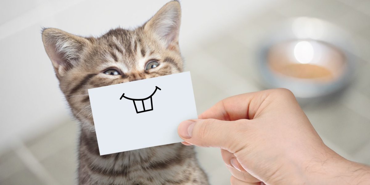 Umorul, secretul unei bătrâneți sănătoase și fericite