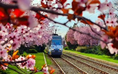 În prima jumătate a lunii aprilie, Bucureștiul devine scena unor evenimente culturale diverse, menite să atragă publicul pasionat de artă, teatru, film sau muzică