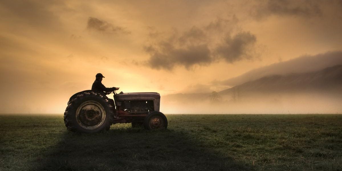 Fermierii, strigăt de alarmă: Guvernul și UE, „lăsați prostiile” în agricultură