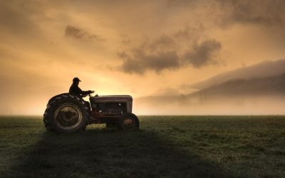 Fermierii, strigăt de alarmă: Guvernul și UE, „lăsați prostiile” în agricultură