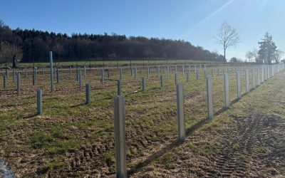 Românii de la Parapet construiesc gigantul parc fotovoltaic din Germania