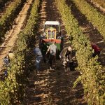 Spania legalizează sute de mii de imigranți: Cine beneficiază de noul statut