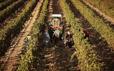 Spania legalizează sute de mii de imigranți: Cine beneficiază de noul statut