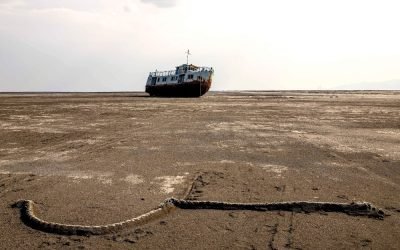 Secetă istorică în SUA: hub energetic, în pericol. Rafinării închise?