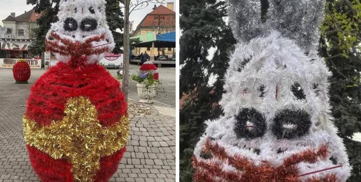 Iepurașii “horror” din Baia Mare, un coșmar pentru localnici: „Te doare mintea!”