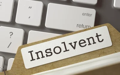 Insolvența Persoanelor Fizice: Ce e „nivelul de trai rezonabil” pentru români?