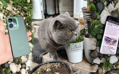 Noul OPPO RENO14 5G impresionează prin balance-ul între performanță, design și tehnologie, demonstrând că nu e nevoie de un flagship pentru a oferi o experiență completă