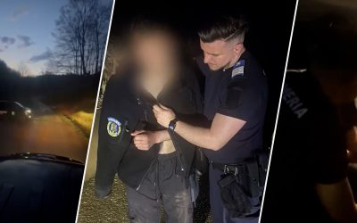 Urmărit de urs în pădure: Tânăr scăpat cu viață după ce și-a abandonat motocicleta