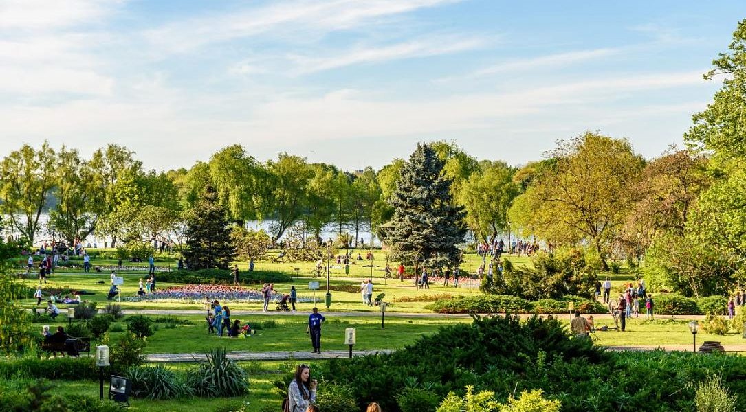 Festivalurile de Film O’Clock și Alpin, plus Hanami, în weekend