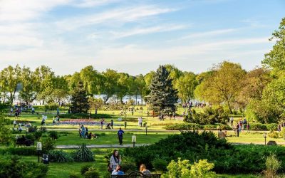 Festivalurile de Film O’Clock și Alpin, plus Hanami, în weekend