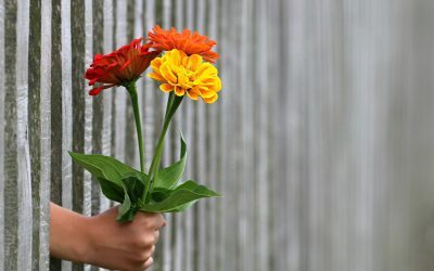De ce flori impare? Ce simbolizează coroanele la înmormântări în România