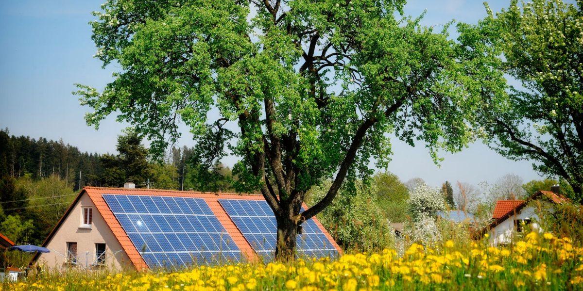 Lemnul SOLAR care generează curent electric… și noaptea!