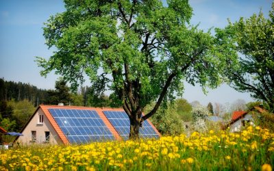 Lemnul SOLAR care generează curent electric… și noaptea!