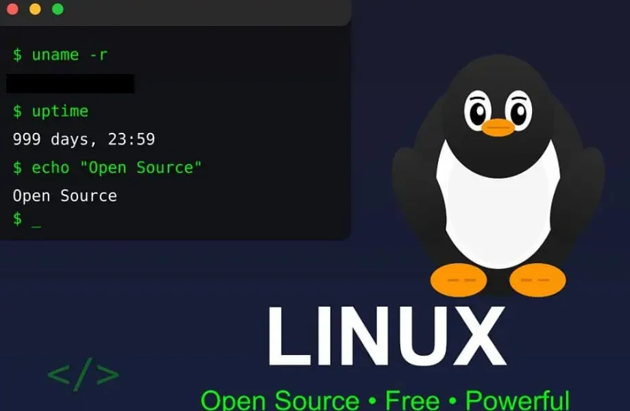 Franța renunță la Windows: Vrea Linux pentru suveranitate digitală față de Giganții Tech americani