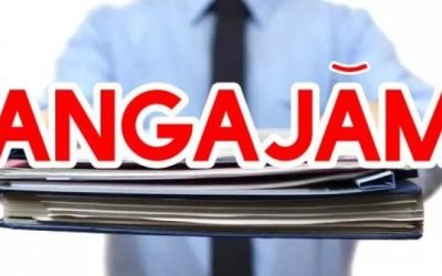 Angajări în România: Firmele se „bat” pe șoferi, curieri și necalificați