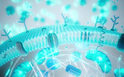 Industria longevității promite un “viitor fără bătrânețe”, dar efectele și validitatea acestor servicii sunt încă în discuție