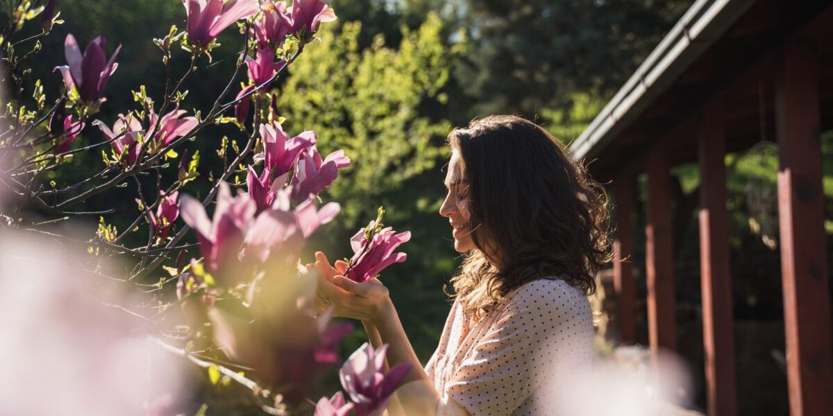 Copacul norocos: Tradiția ce îți schimbă viața dacă îl plantezi în aprilie!