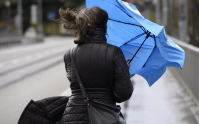 Alerte meteo: Cod Galben de vânt puternic în București, rafale de 90 km/h