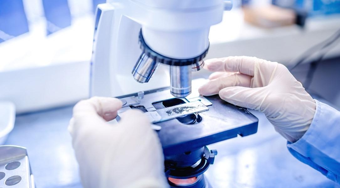 România, în rețeaua europeană ELIXIR: Cercetare internațională accelerată