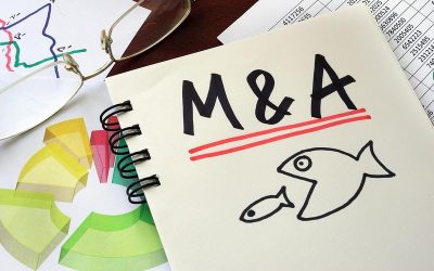 CARREFOUR și GARANTI, vânzări record în România în primul trimestru