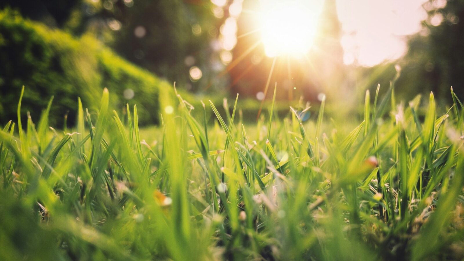 Vreme de primăvară: Temperaturi în creștere, dar ploi în România