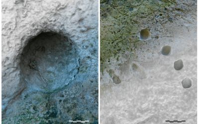 Romanii antici, mult mai sofisticați decât credeam? O descoperire arheologică recentă de la Pompeii sugerează utilizarea unei „mitraliere” primitive cu secole înaintea apariției armelor moderne