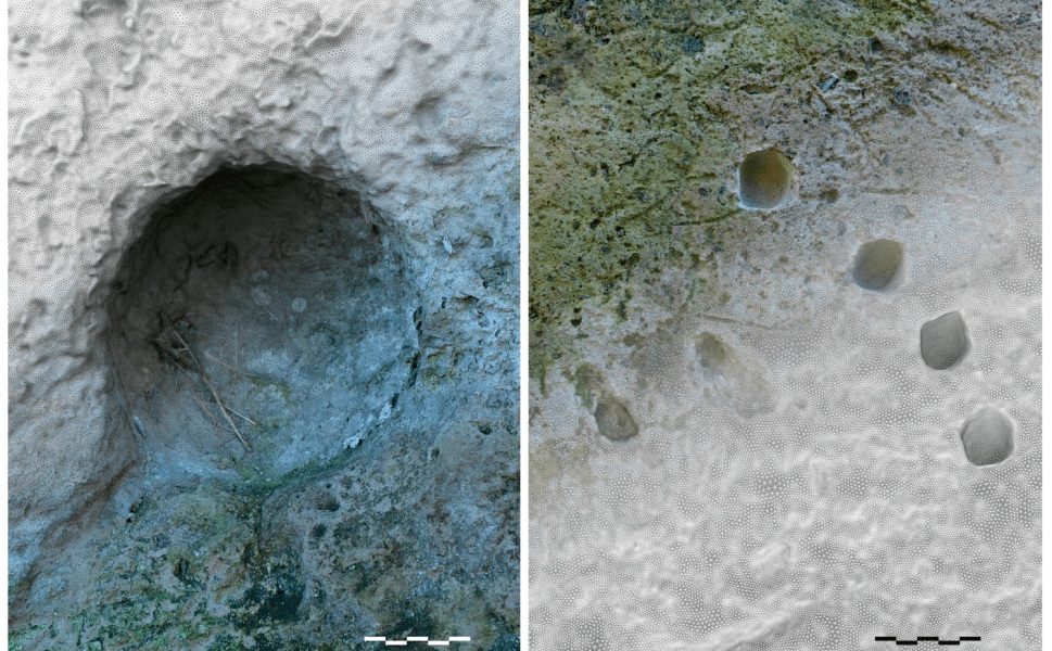 Descoperire uluitoare: Istoria armelor, rescrisă peste noapte