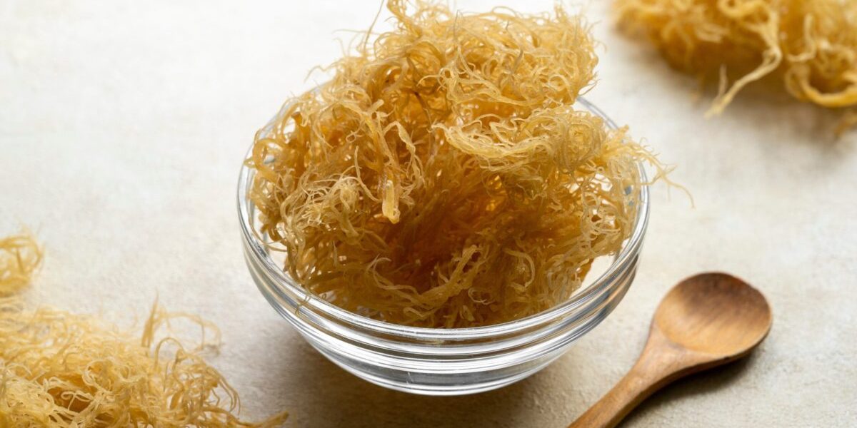 Muşchiul de mare: superalimentul din valurile virale? Verdictul experților