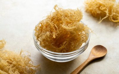 Muşchiul de mare: superalimentul din valurile virale? Verdictul experților