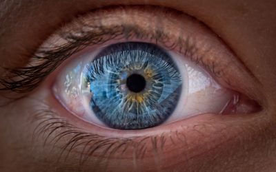 Ochii văd culorile, nu doar claritatea! Studiu ȘOCANT