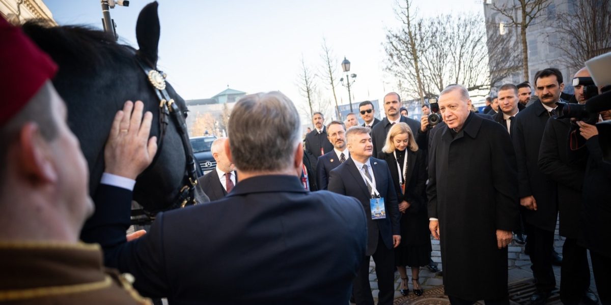 Magyar, convorbiri cu Erdoğan: Liderul turc, invitat la Budapesta. Orban i-a dat cal în 2023