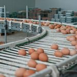 Alertă în Galați: 1,5 milioane de ouă cu Salmonella, cu o zi înainte de Înviere