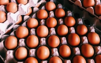Vânzările de ouă se mențin stabile în contextul creșterii cererii pascale Industria avicolă din România se pregătește pentru perioada pre-pascală, menținând o ofertă suficientă pentru a acoperi cererea majorată