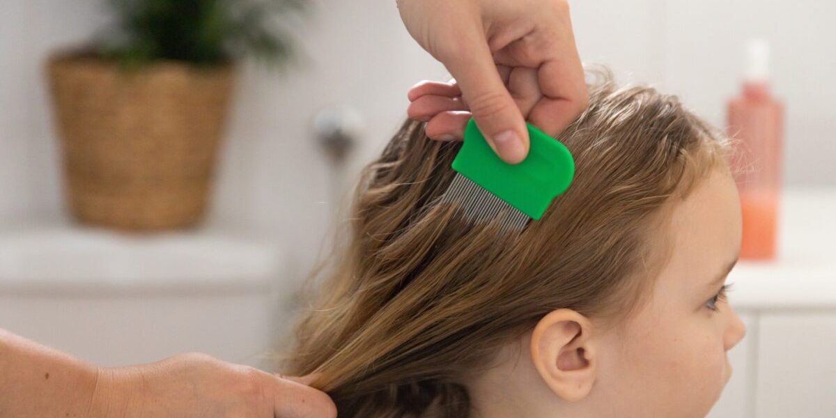 Rețete naturiste anti-păduchi: Ce dau rezultate, fără chimicale!