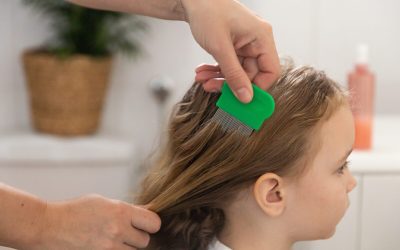 Rețete naturiste anti-păduchi: Ce dau rezultate, fără chimicale!