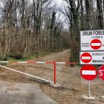 Mașinile, INTERZISE în Pădurea Băneasa: Romsilva blochează accesul auto