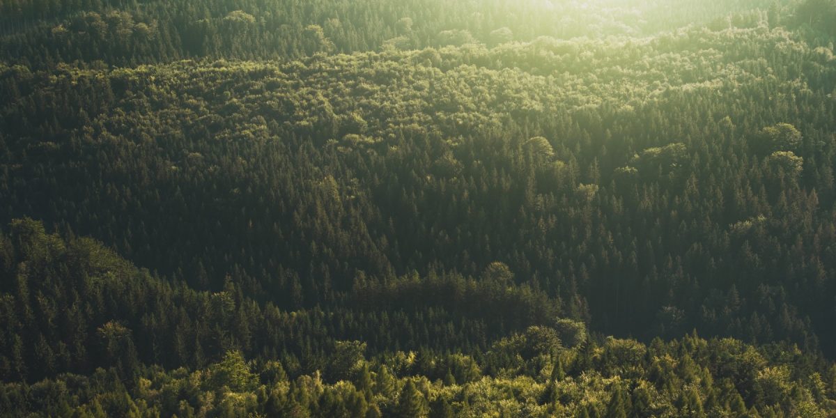 Milioane în stradă de Ziua Pământului: Cer măsuri urgente pentru mediu!