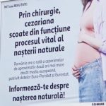 Diana Buzoianu, scandal cu panourile: Sesizare la ANPC și Primărie