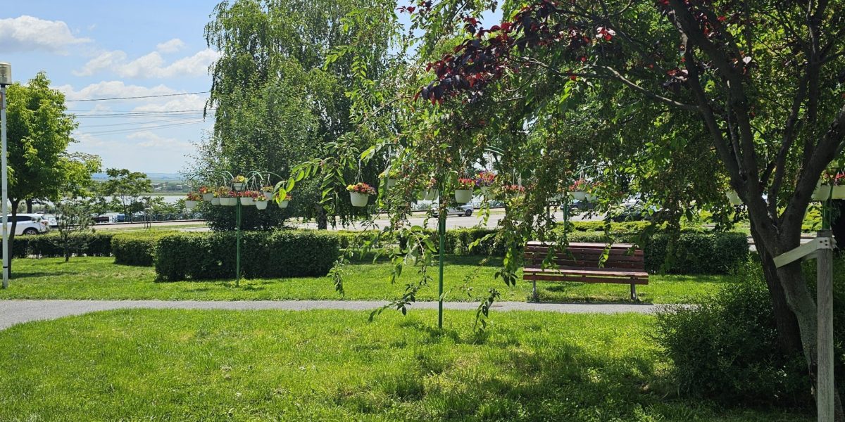 Amenzi drastice în România: Interdicții în parcuri și spațiul public, anunță Primăria București