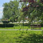 Amenzi drastice în România: Interdicții în parcuri și spațiul public, anunță Primăria București