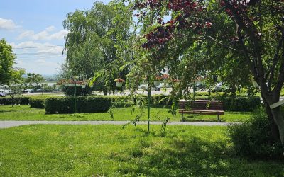 Amenzi drastice în România: Interdicții în parcuri și spațiul public, anunță Primăria București