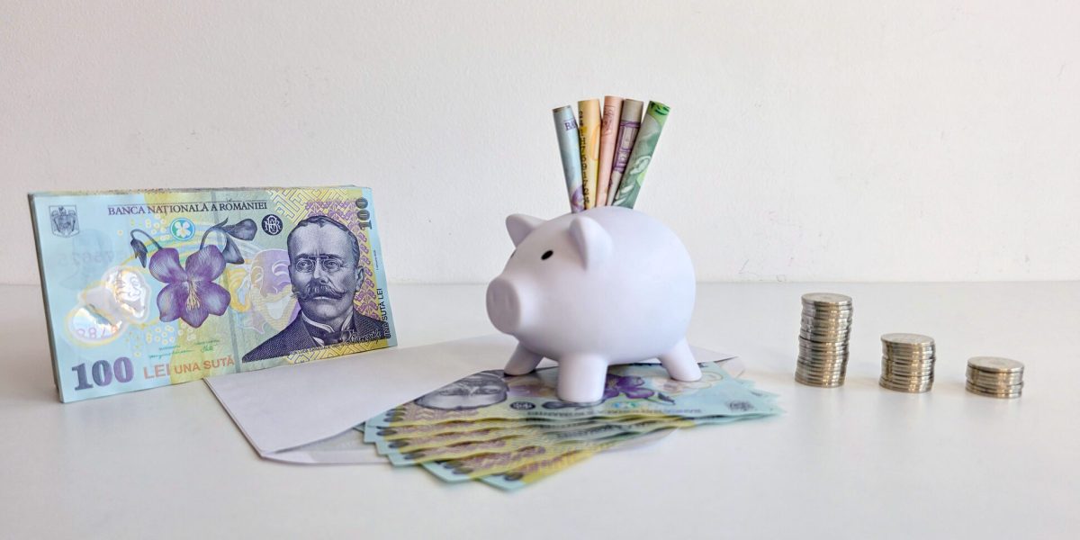 Parlamentarii propun un nou sistem de economisire pentru pensie, inspirat din modelele americane, prin Conturile Individuale de Investiții pentru Pensie (CIIP)