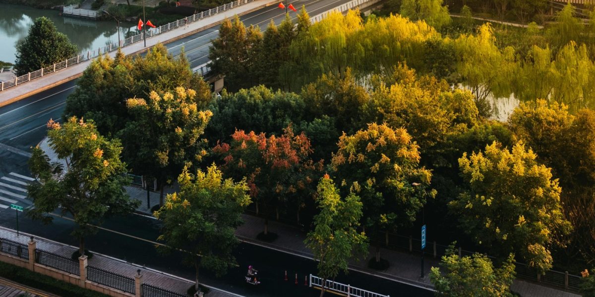 Galați: Patru păduri urbane, cu 3,5 milioane lei PNRR