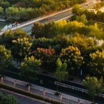 Galați: Patru păduri urbane, cu 3,5 milioane lei PNRR