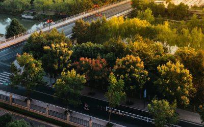 Galați: Patru păduri urbane, cu 3,5 milioane lei PNRR