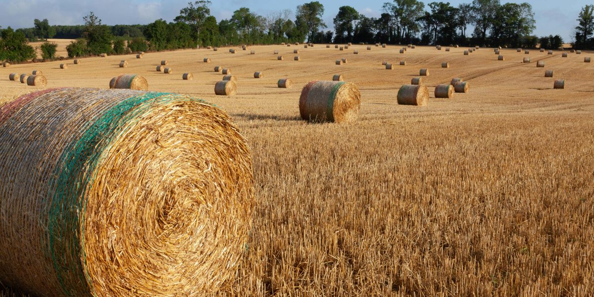 Franța primește 300 milioane euro de la Comisia Europeană pentru agricultură
