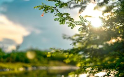 Pielea „iese din iarnă”: Ce spune medicul despre primele raze de soare