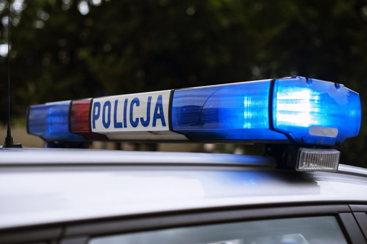 O femeie din Polonia a fost nevoită să fugă pentru a scăpa de un bărbat dezbrăcat, după ce a încercat să ajute un animal rănit la miezul nopții, conform informațiilor transmise de sursa Nexta